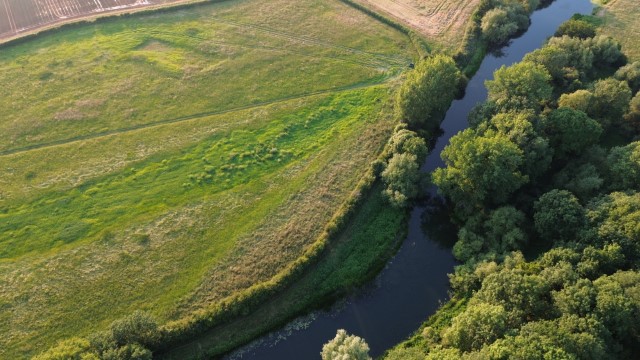 DJI 0105