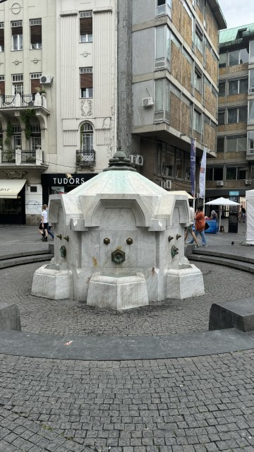 IMG 8498