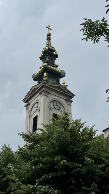 IMG 8506