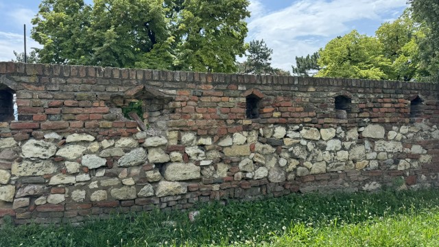IMG 8590
