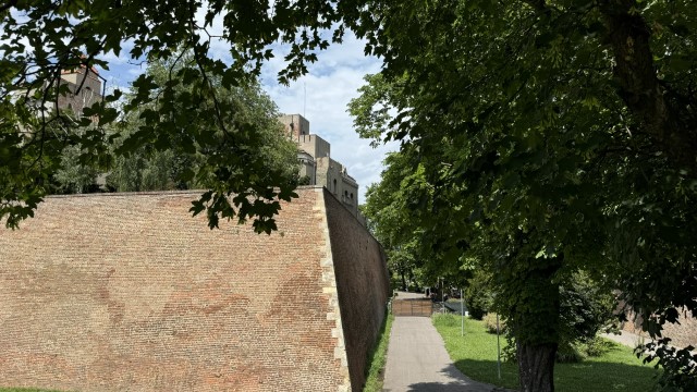 IMG 8591