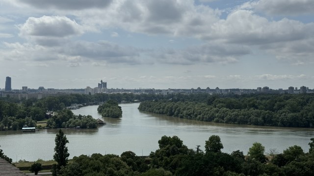 IMG 8644
