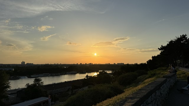 IMG 8782