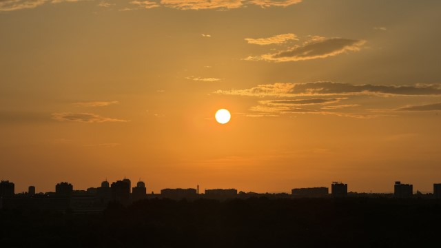 IMG 8790