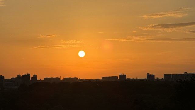 IMG 8802