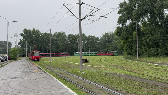 IMG 8887