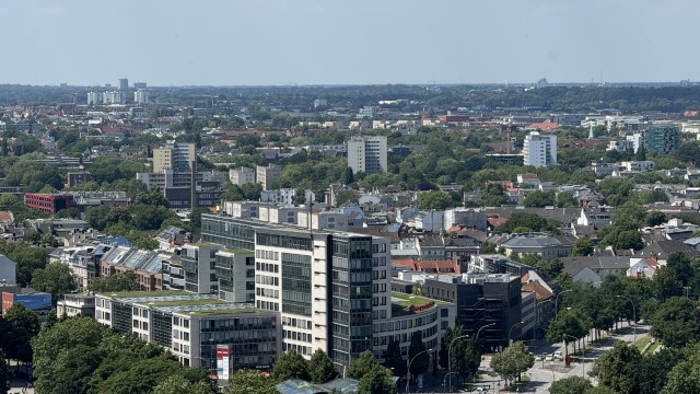 IMG 9389