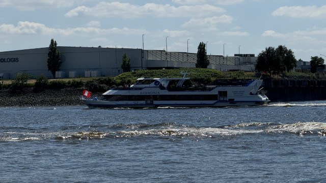 IMG 9459