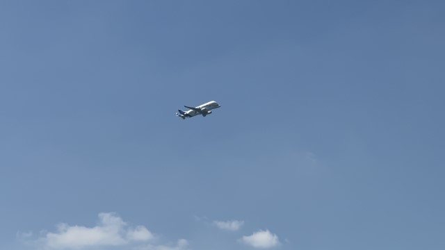 IMG 9486