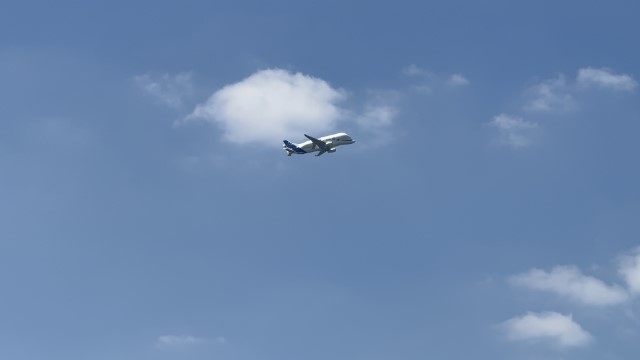 IMG 9487