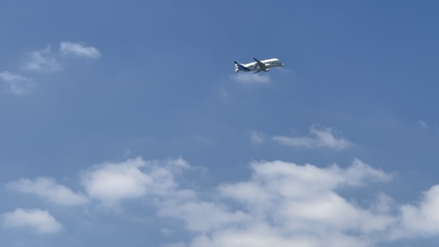 IMG 9488