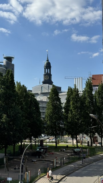 IMG 9542