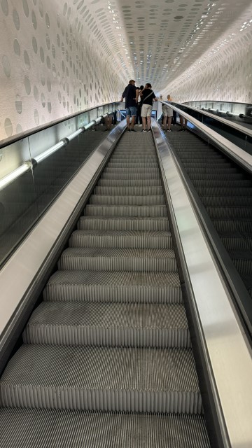 IMG 9554