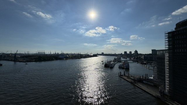 IMG 9584