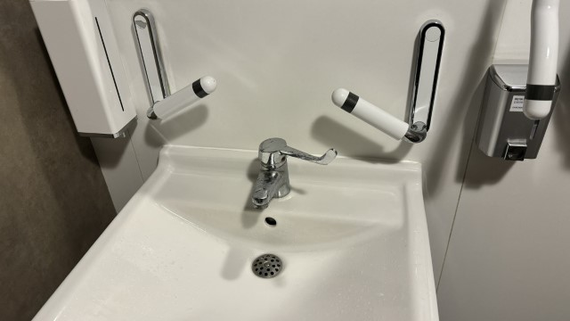 IMG 0295