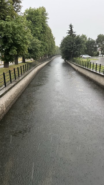 IMG 0341
