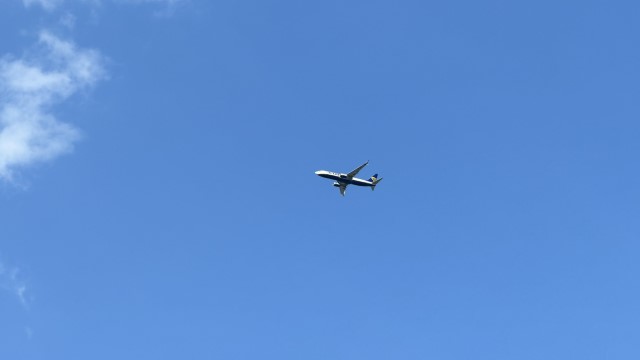IMG 9729