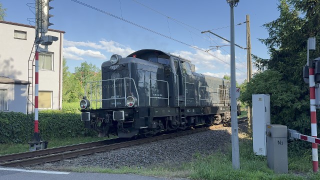 IMG 9736