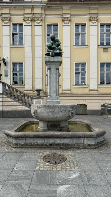IMG 9847