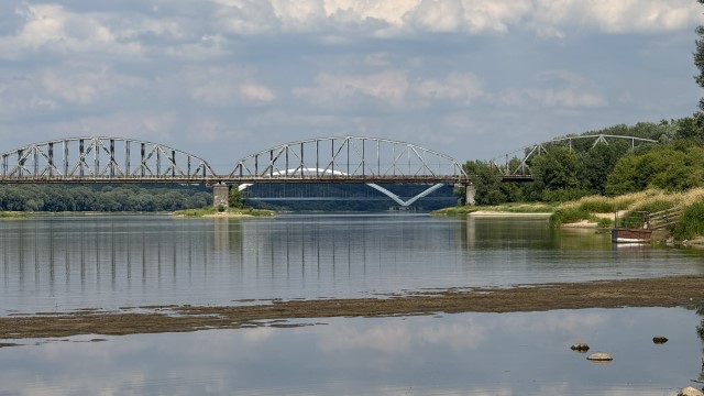 IMG 0135