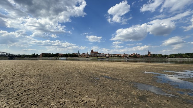 IMG 0139