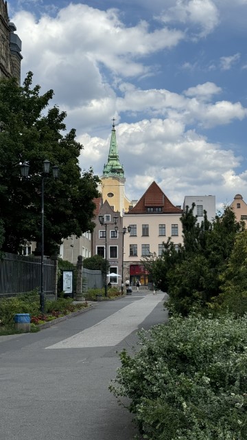 IMG 9906