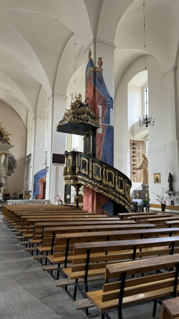 IMG 9942