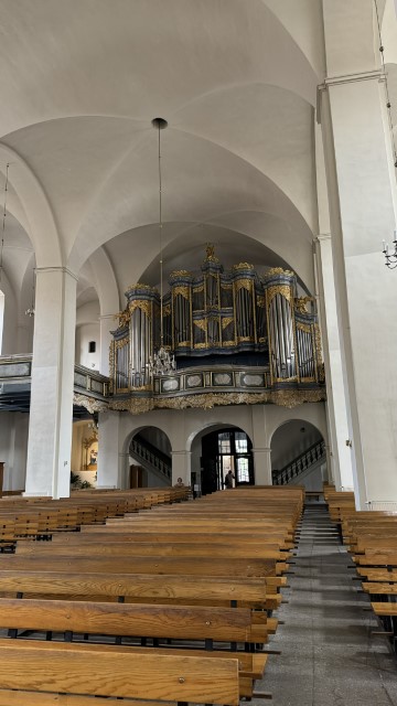 IMG 9945