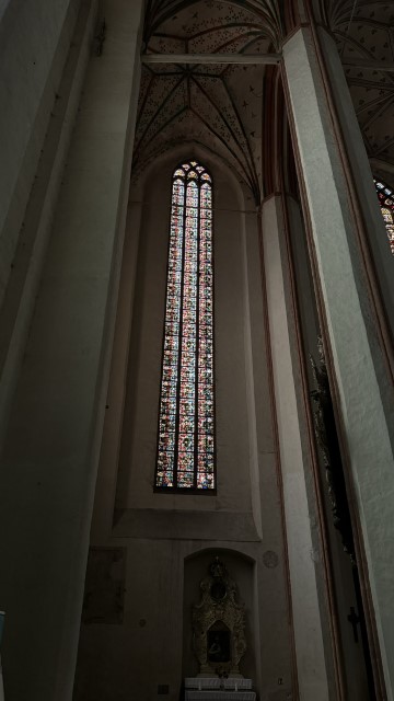 IMG 9957