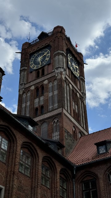 IMG 9993