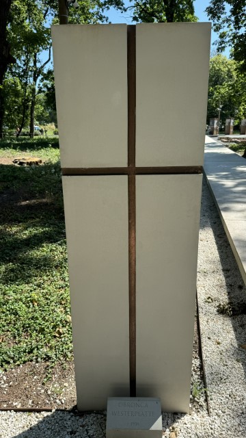 IMG 0199