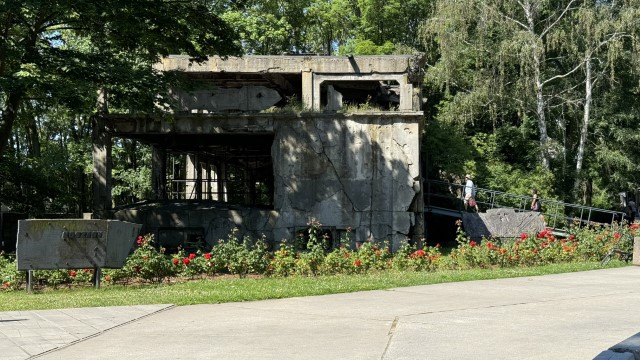 IMG 0206