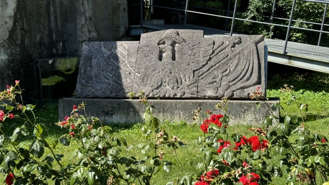 IMG 0207