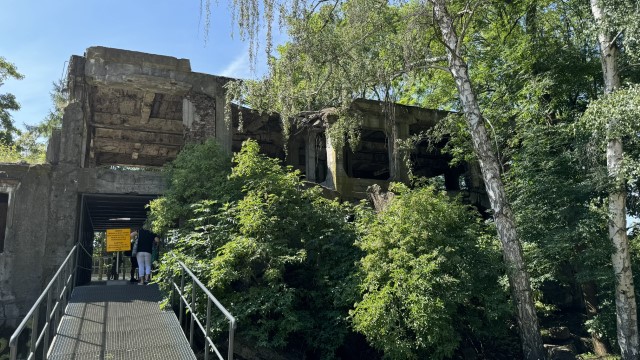 IMG 0222