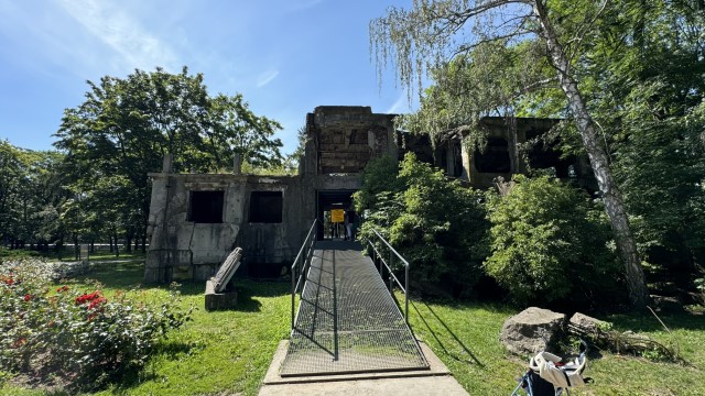 IMG 0223