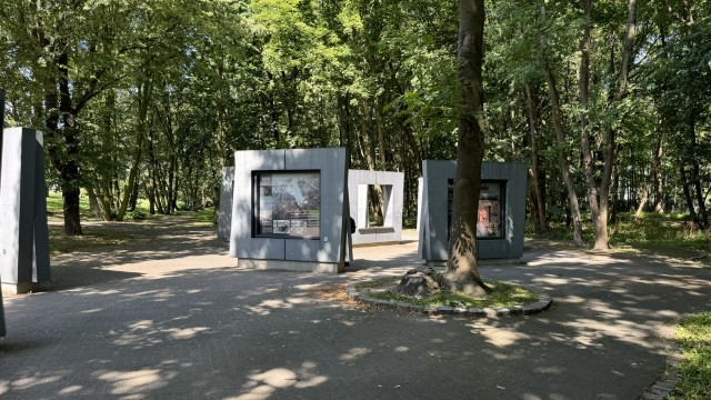 IMG 0225