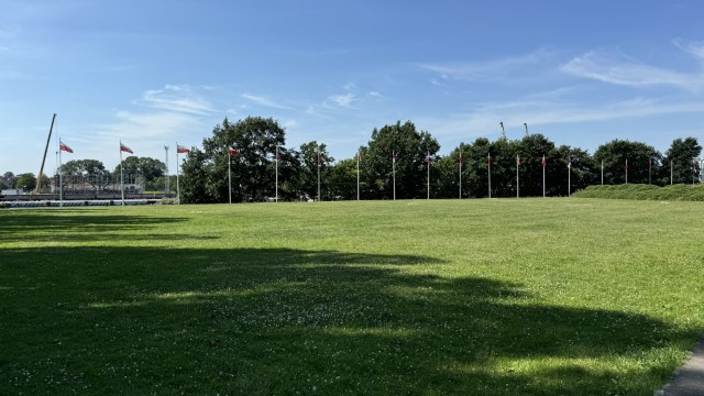 IMG 0231