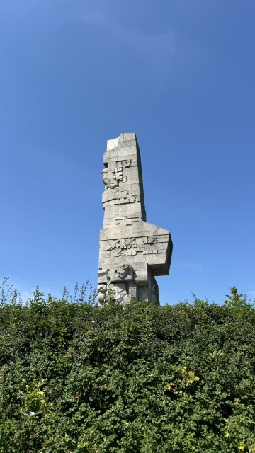 IMG 0249