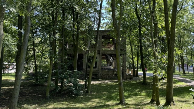 IMG 0268