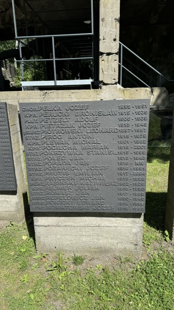 IMG 0274