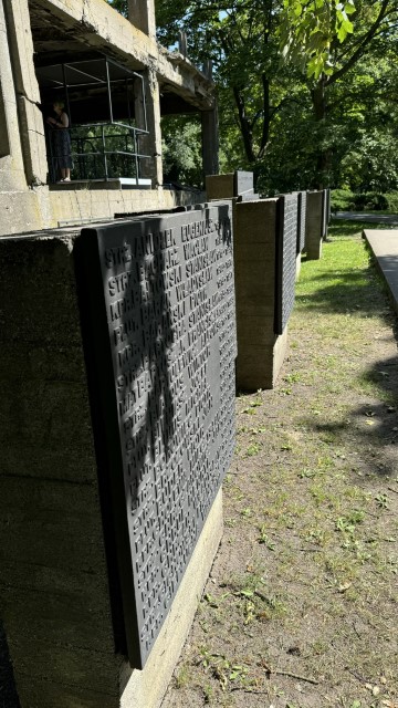 IMG 0278