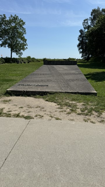 IMG 0280