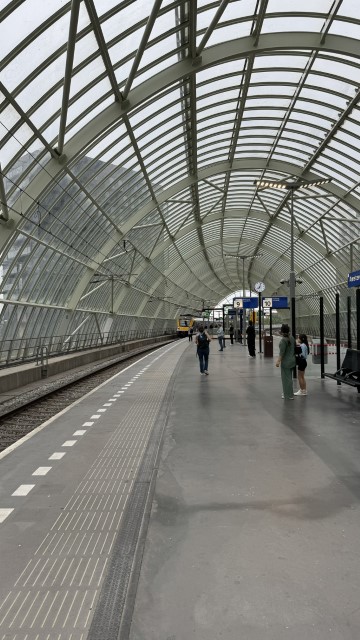 IMG 0459