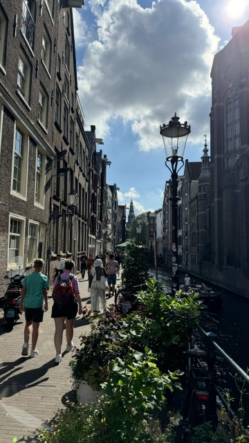 IMG 0891