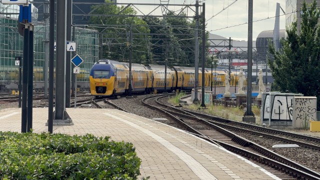 IMG 0437