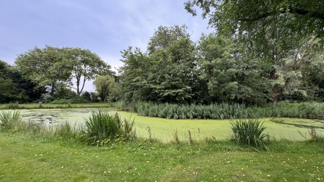 IMG 0470