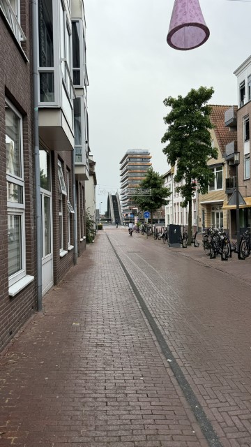 IMG 0479