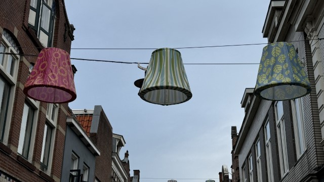 IMG 0486