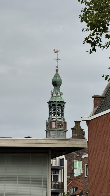 IMG 0504