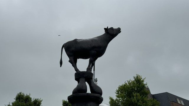IMG 0535